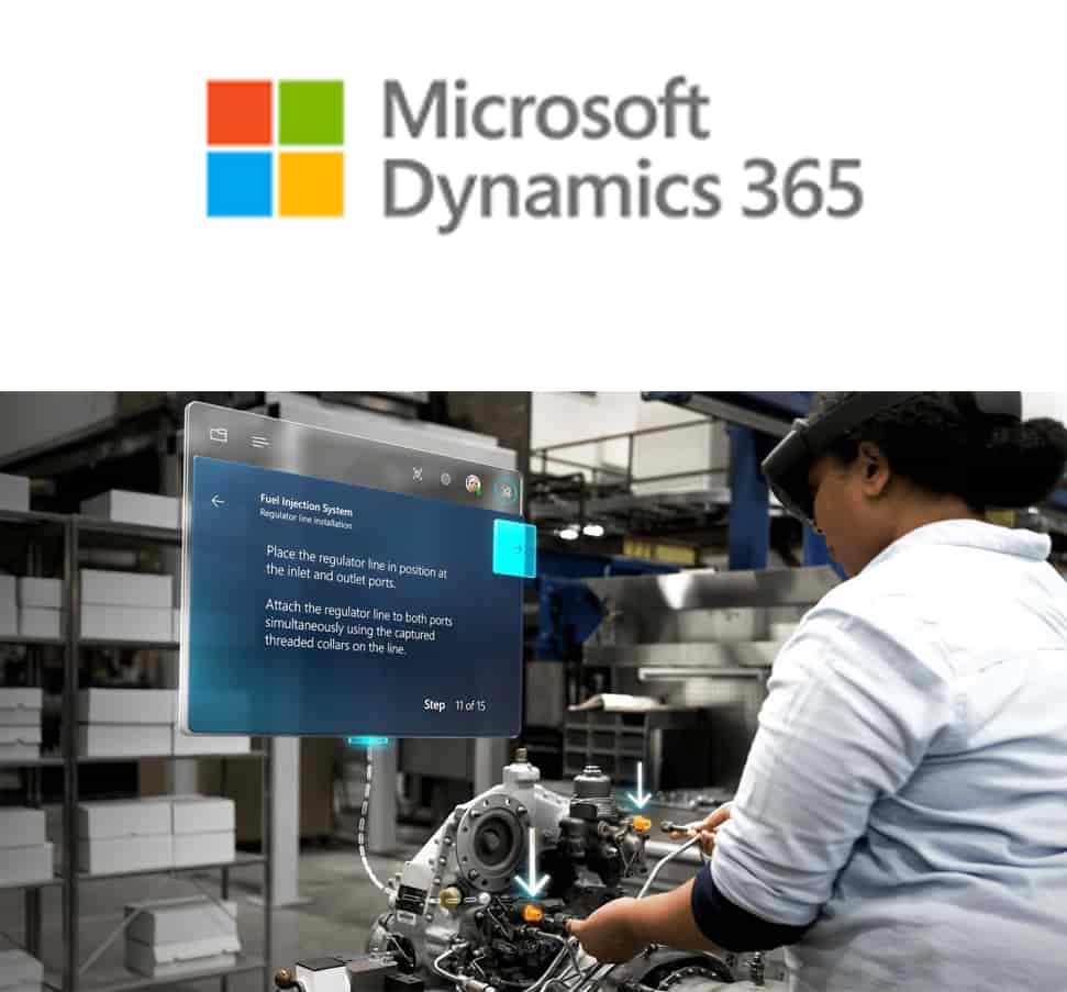 Dynamics 365 guides